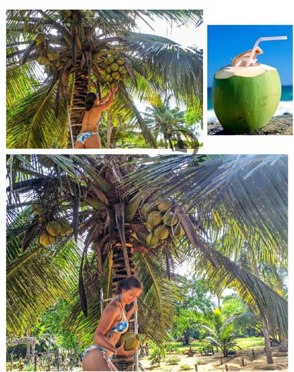 Beach Bungalow Yala Киринда Экстерьер фото